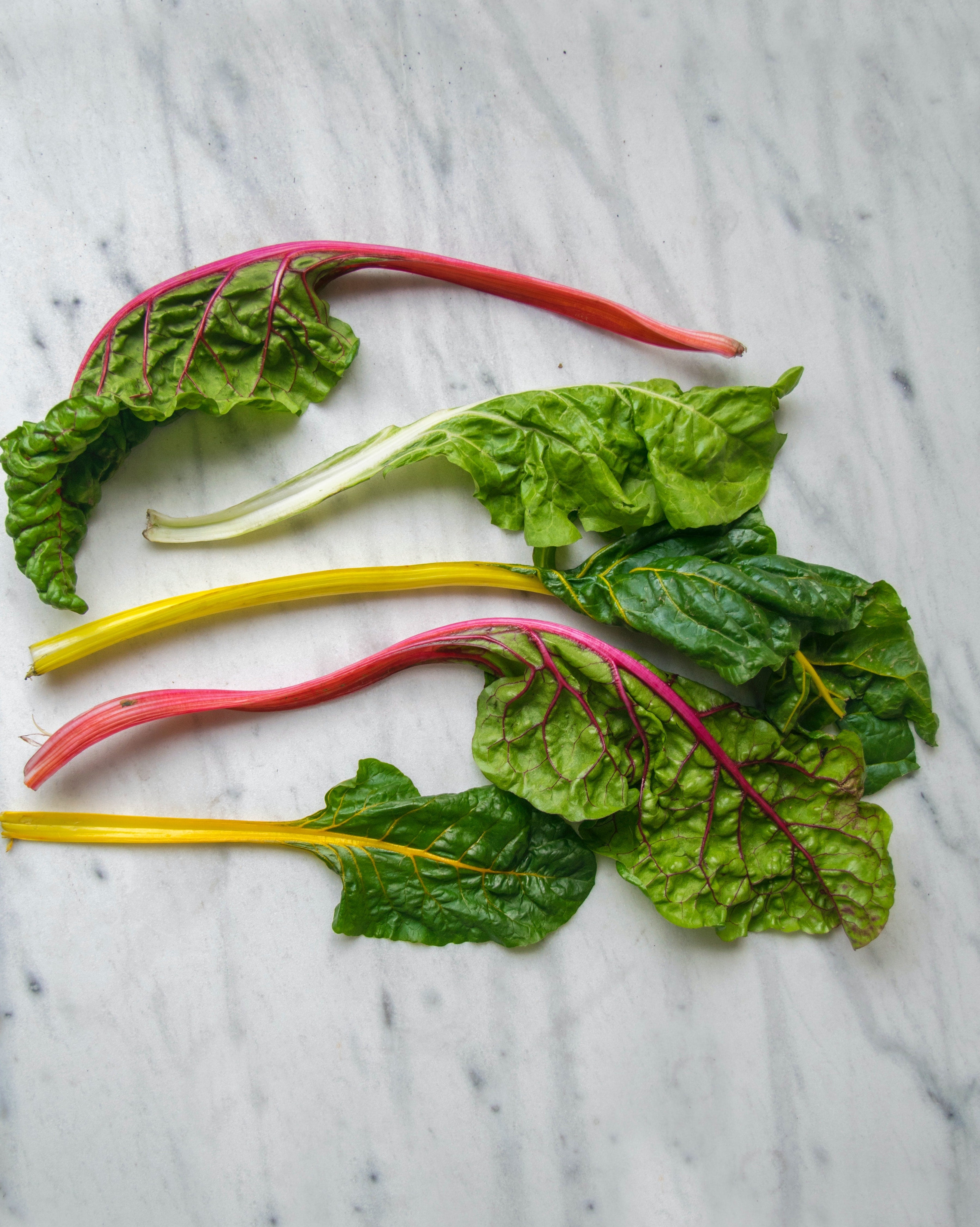 FreshZen Easy Swiss Chard